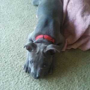 Meet your Posher, Jill